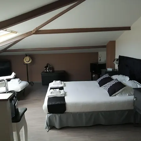 Bed and breakfast La Villa-carcassonne