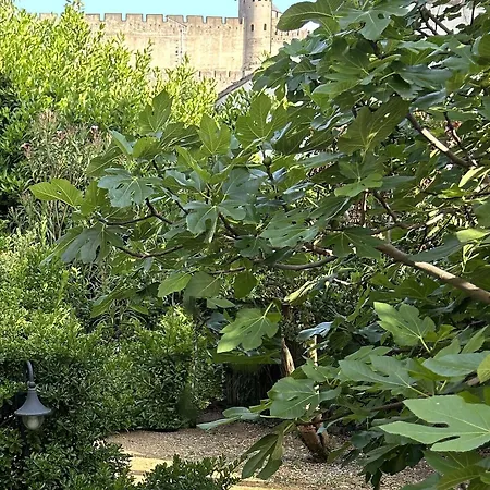 La Villa-carcassonne B&B 카르카손