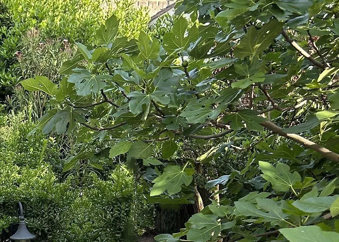 La Villa-carcassonne Frühstückspension Carcassonne